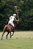 wd_4polo402