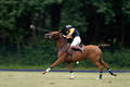 wd_4polo450