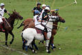 wd_4polo702