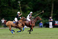 wd_4polo809