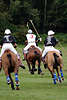 wd_4polo821