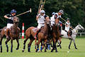 wd_4polo876