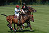 000305_Polospieler & Poloperde Duell beim Reiten im Pferdesattel Sportpolobild  mit Polostick am Poloball