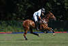 000315_Topspieler Polo dynamisches Poloritt mit Ball am Fuss haltend Polofotografie auf Polopferd