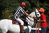 000363_Schiedsrichter im Sattel weisses Rosses Poloportrt bei Ballbergabe vom Schiedsrichterhelfer