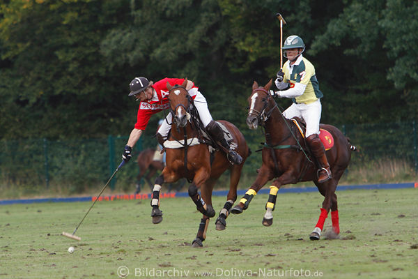 Polospieler am Ball mit Polostick vom Pferd in Galopp Polofoto Silver Cup Aktionbild