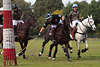 809844_ Polofoto: Polospieler & Polopferde dynamisches Sportbild am Polotorpfosten, Polostick am Ball