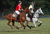 809881_ Polofotografie in Bewegung, Polopferde Paar mit Polospieler in Pologalopp verwischt in Sportbild