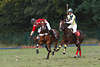 809934_ Polofoto, Silver Cup 2008 Polofotografie, Polospieler vom Pferd mit Polostick am Ball in Galopp