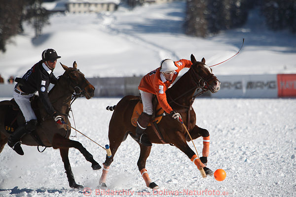 Schneepolo Pferde-Reiter dynamisches Galopp-Duell um Poloball Aktionbild St.Moritz-Winterpolo