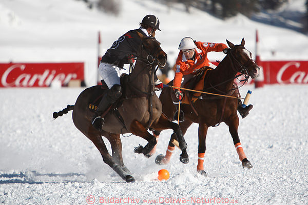 Pferde Reiter Polospiel-Duell um Ball auf Schnee dynamisches Bild Winterpolo Sankt Moritz