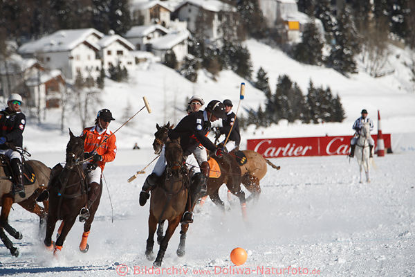 Winterpolo Pferde-Schnee-Galopp zum Ball Reiter mit Sticks auf St.Moritzsee