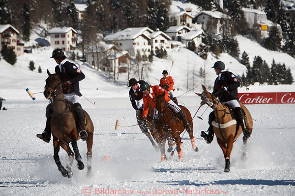 St.Moritzsee SchneePolo Aktionfoto 901254 Polomatch Ballkampf dynamische Reitszene in Bild