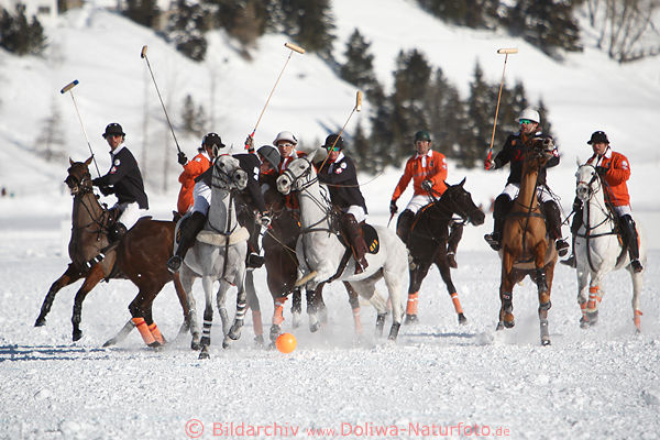 Schnee-Winterpolo Pferde-Gruppe um orange Spielball dynamisches Foto 901327 Naturkulisse Moritzersee