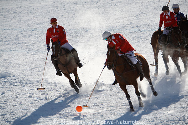 Pferde-Polospieler auf Weissschnee in Gegenlicht Winterpolo dynamische Sportszene Match-Aktion St.Moritz-Polo