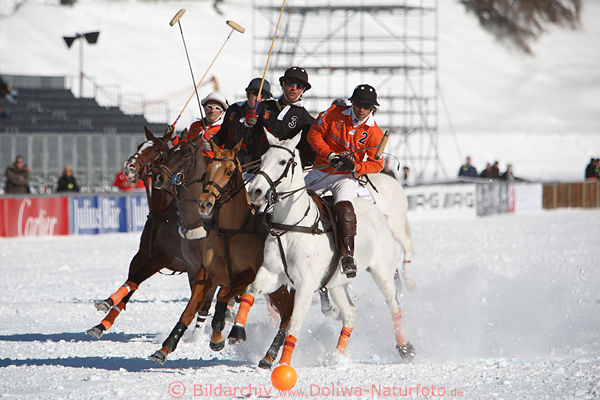 Polo-Vierer Spieler zu Pferd hinter Spielball dynamische Polofotografie auf Schnee in Sankt Moritz
