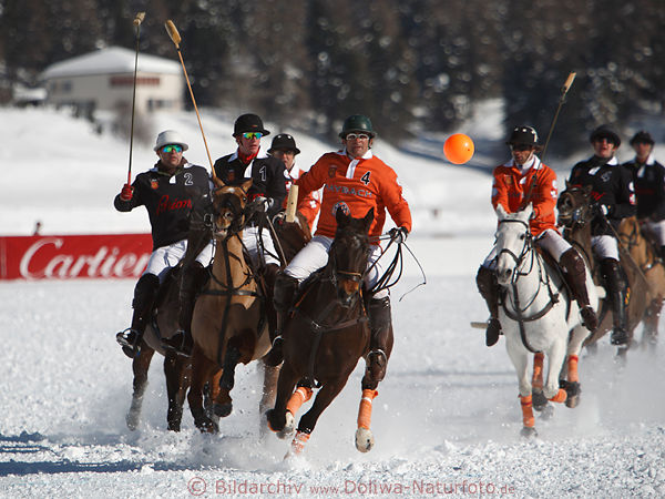 Polospieler Schnee-Pferderitt Galopp zum Poloball 901277 Aktionsbild Sankt-Moritzersee Polo-Weltcup