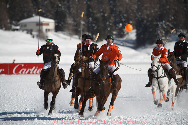 SchneePolo hoher Ball Pferderitt Galopper Aktionsbild 901276 Spielfoto Sankt-Moritzersee Winterpolo