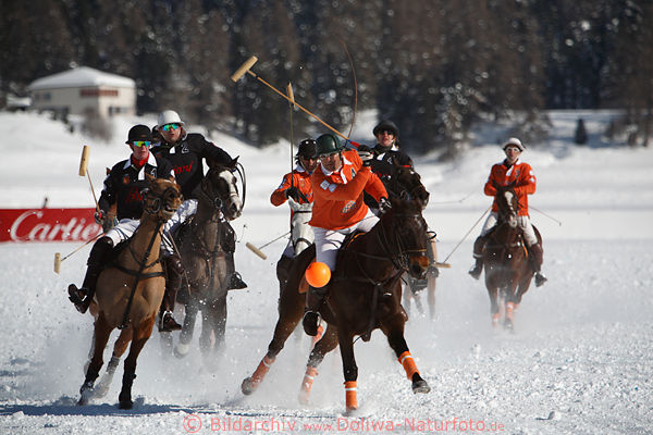 St.Moritzsee SchneePolo Ballkampffoto 901278 Polospieler Bild Ignacio Tillous Argentinien Hcp-7 spannende Galoppszene