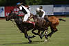 Galoppduell Gebrder Winter Foto zu Pferd Thomas W. Polostick am Ball zwischen Pferdebeinen