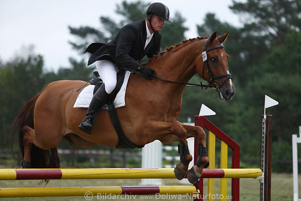 Pferd dynamisches Sprungflug Sportfoto Reiter Sven Seidel-Fehling Constantin 44