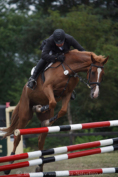 Reiter Pferd Hufe Hrde-Abwurf Sprungfehler Foto dynamisches Aktionbild