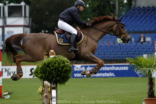 Anna Guskova russische Amazone Reiterin auf Csardas 14 Sprungflug ber Hindernis