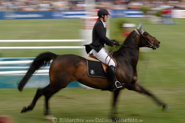 Schneider Karl Reiter Lonely Boy Pferd Dynamik-Portrait in Bewegung Speed-Derby Sportbild