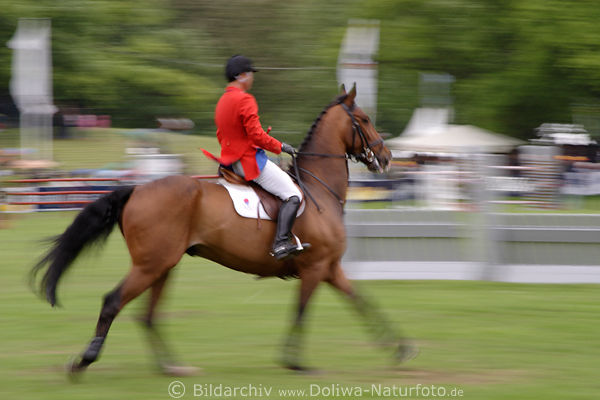 Pferd-Ritt in Bewegungsunschrfe Joo Jung Hyun Seven Up15 Korea horse jump