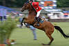 702938_ Andre Schröder Reiter auf Ontario 60 Pferd in Bewegung Bild vorm Sprung, Grosser Preis von Hamburg