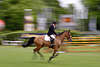 Bewegungs-Unschärfe Ritt Markus Fuchs Royal Charmer Reiterbild Schweizer auf Parcours