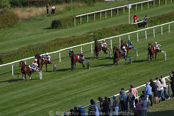 Trabpferde Sulkygespanne Grasbahn Trabrennen Panorama-Bild Derby-Rennfoto