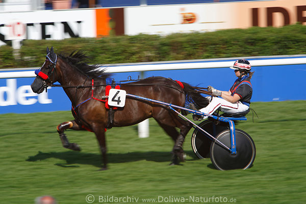 Trabrennfahrerin Birgit Riese Trabpferd Augustus Sulkygespann Bewegung-Bild