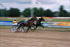 3886_ Trabrennen Zweikampf der Pferde in Bild, Sportwettlauf beim Traben, Trab in Tempo, Jockey & Pferde