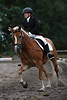 000853_Reiterjugend Dressurritt Foto auf hellbraun Pferd mit Weissmhne Haflinger-Rasse in Bispinger Waldkulisse
