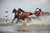Traber-Sulky Wattrennen in Wasserspritzer Pferde-Aktionbild