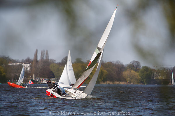 Alsterregatta Segler an Bordkante geneigtes Segelboot