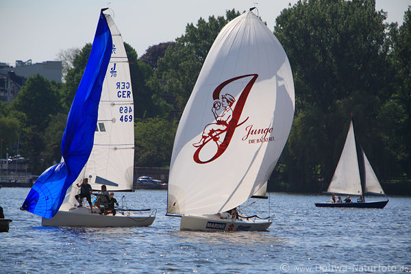 Jachten-Trio Segler Skipper an Bord lenken Segelboote segeln in Alsterwasser