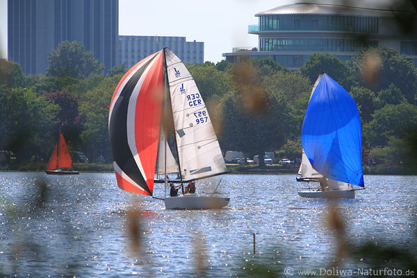 Alsterregatta bunte Segel Boote in Hamburg