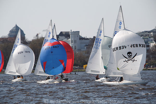 Segeln in Wind Hamburg Alsterwasser Jachtboote Regatta