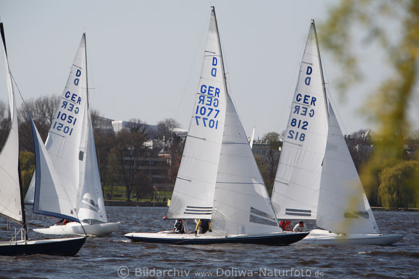 Alsterregatta Segelboote Bild weie Yachten Vierer segeln in Alsterwasser Foto
