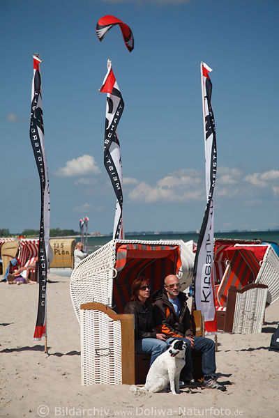 Besucher Paar mit Hund im Strandkorb an Ostsee Strandurlaub whrend Kitesurf-Trophy 2008 in Dahme