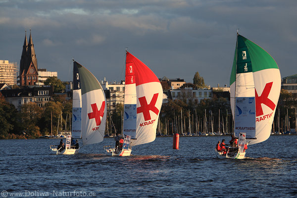 Segeln in Wind Alsterwasser Hamburg Boote-Reihe in Abendsonne