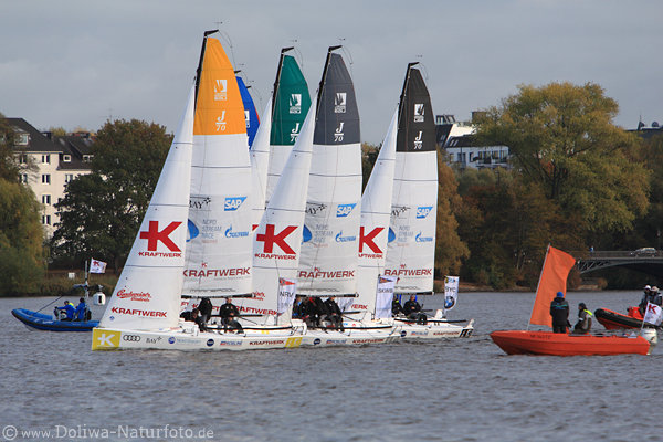 Segelregatta Bootsreihe Foto in Hamburger Alstersee Wassersport Bild