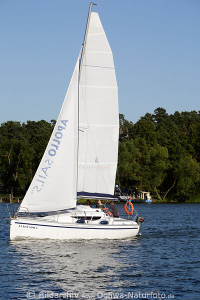 Jachtboot unter Segeln in Wind auf Beldansee Yachttour Foto sportliche Segelfahrt