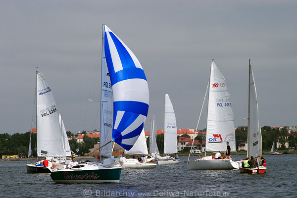 Skippi 650 Regatta in Masuren, Jachtgruppe auf Lwentinsee Gizycko (Ltzen) Blick