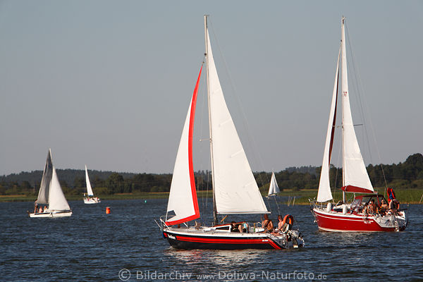 Segler in Jachtbooten Foto unter Segeln in Wind auf Beldansee