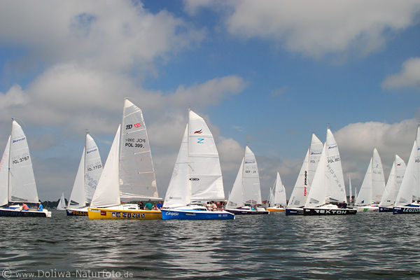 Segler Bootreihe auf See Wasser Blau-Himmel Horizont Segelregatta Skippi 650