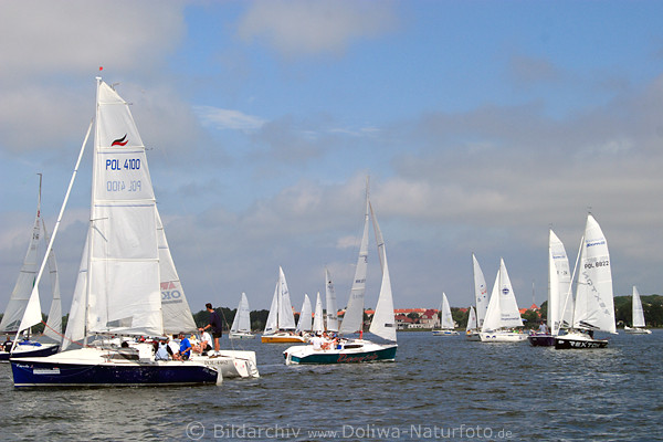 Segler Regatta Boote viele weisse Segel auf Lwentinsee vor Ltzen Husern