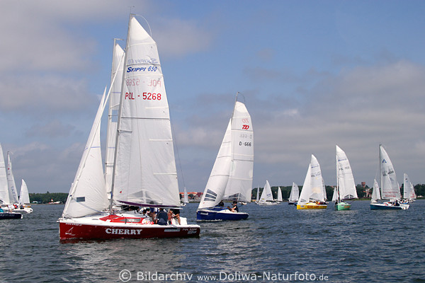 Segeln auf Lwentinsee in Masuren Regatta Skippi 650